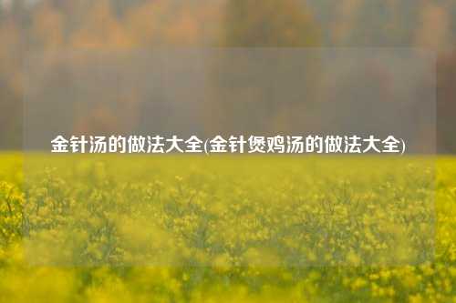金针汤的做法大全(金针煲鸡汤的做法大全)