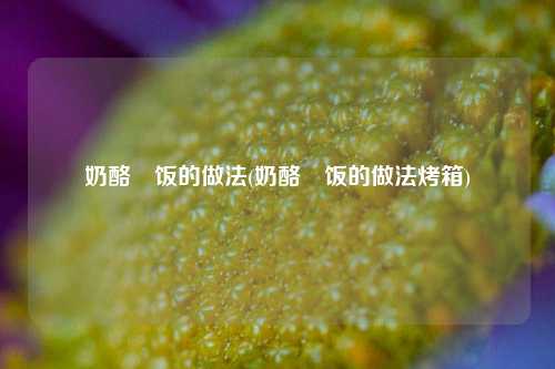 奶酪焗饭的做法(奶酪焗饭的做法烤箱)