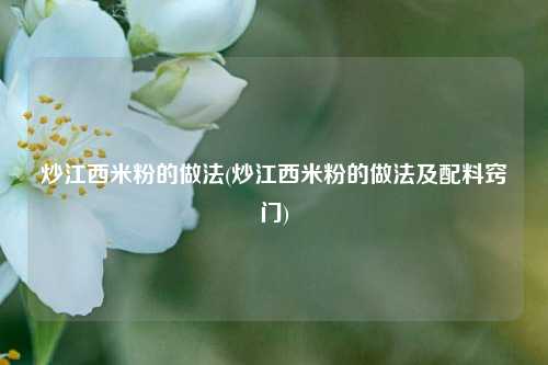 炒江西米粉的做法(炒江西米粉的做法及配料窍门)