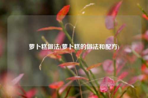 萝卜糕做法(萝卜糕的做法和配方)