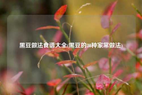 黑豆做法食谱大全(黑豆的20种家常做法)