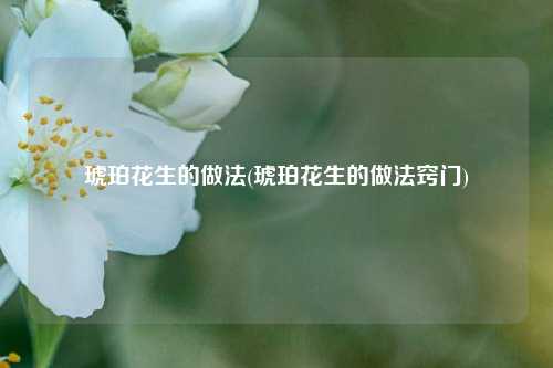 琥珀花生的做法(琥珀花生的做法窍门)