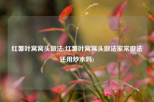 红薯叶窝窝头做法(红薯叶窝窝头做法家常做法还用炒水吗)