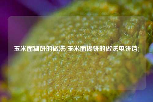 玉米面糊饼的做法(玉米面糊饼的做法电饼铛)