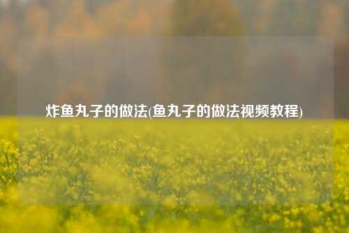 炸鱼丸子的做法(鱼丸子的做法视频教程)