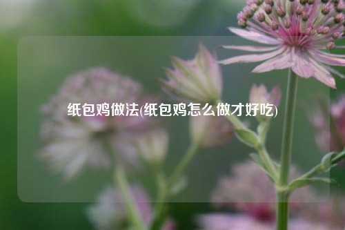 纸包鸡做法(纸包鸡怎么做才好吃)