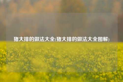 猪大排的做法大全(猪大排的做法大全图解)