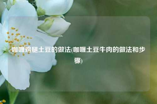 咖喱鸡腿土豆的做法(咖喱土豆牛肉的做法和步骤)