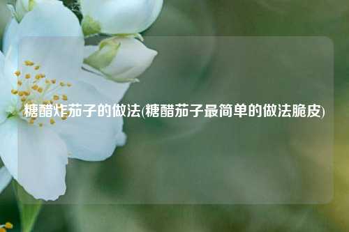 糖醋炸茄子的做法(糖醋茄子最简单的做法脆皮)