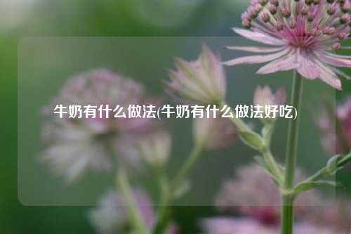 牛奶有什么做法(牛奶有什么做法好吃)