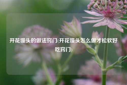 开花馒头的做法窍门(开花馒头怎么做才松软好吃窍门)
