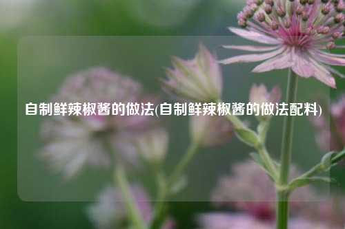 自制鲜辣椒酱的做法(自制鲜辣椒酱的做法配料)